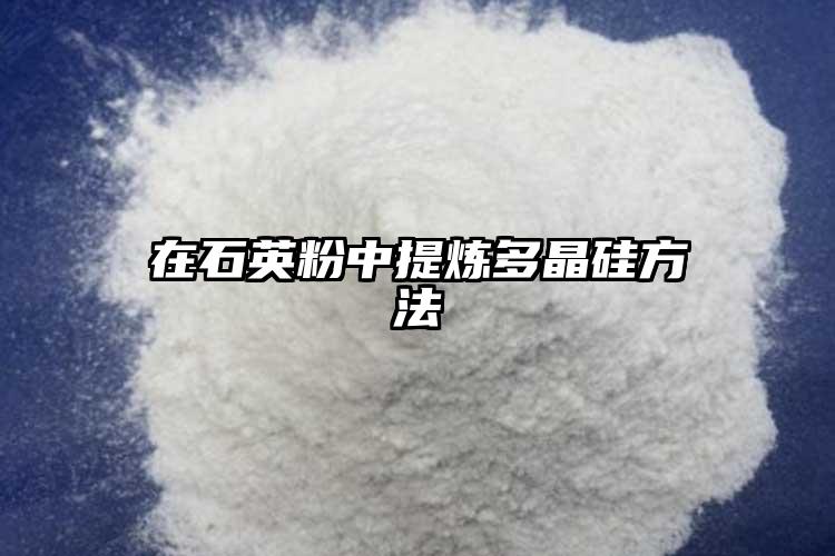在91看片入口在线观看粉中提炼多晶硅方法
