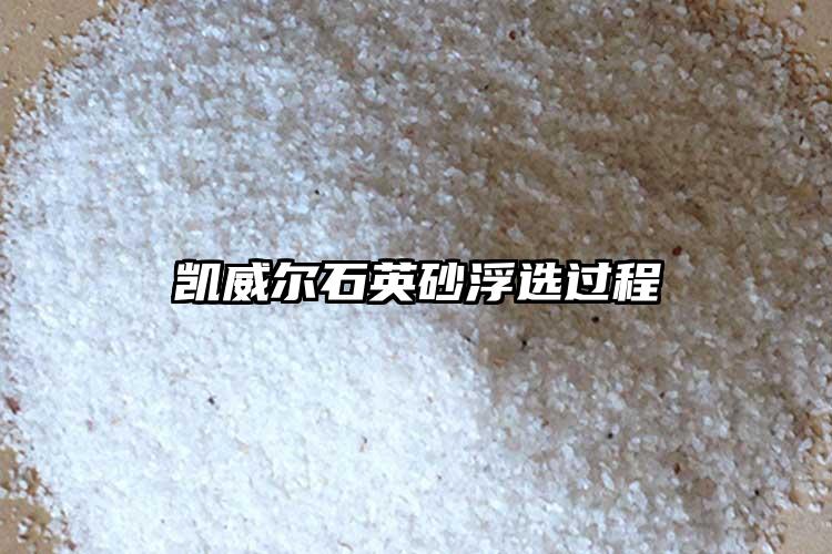 生产厂家91看片入口在线观看砂浮选过程